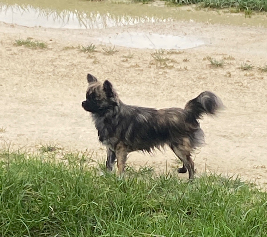 Tiana my hope du Paradis Rétais