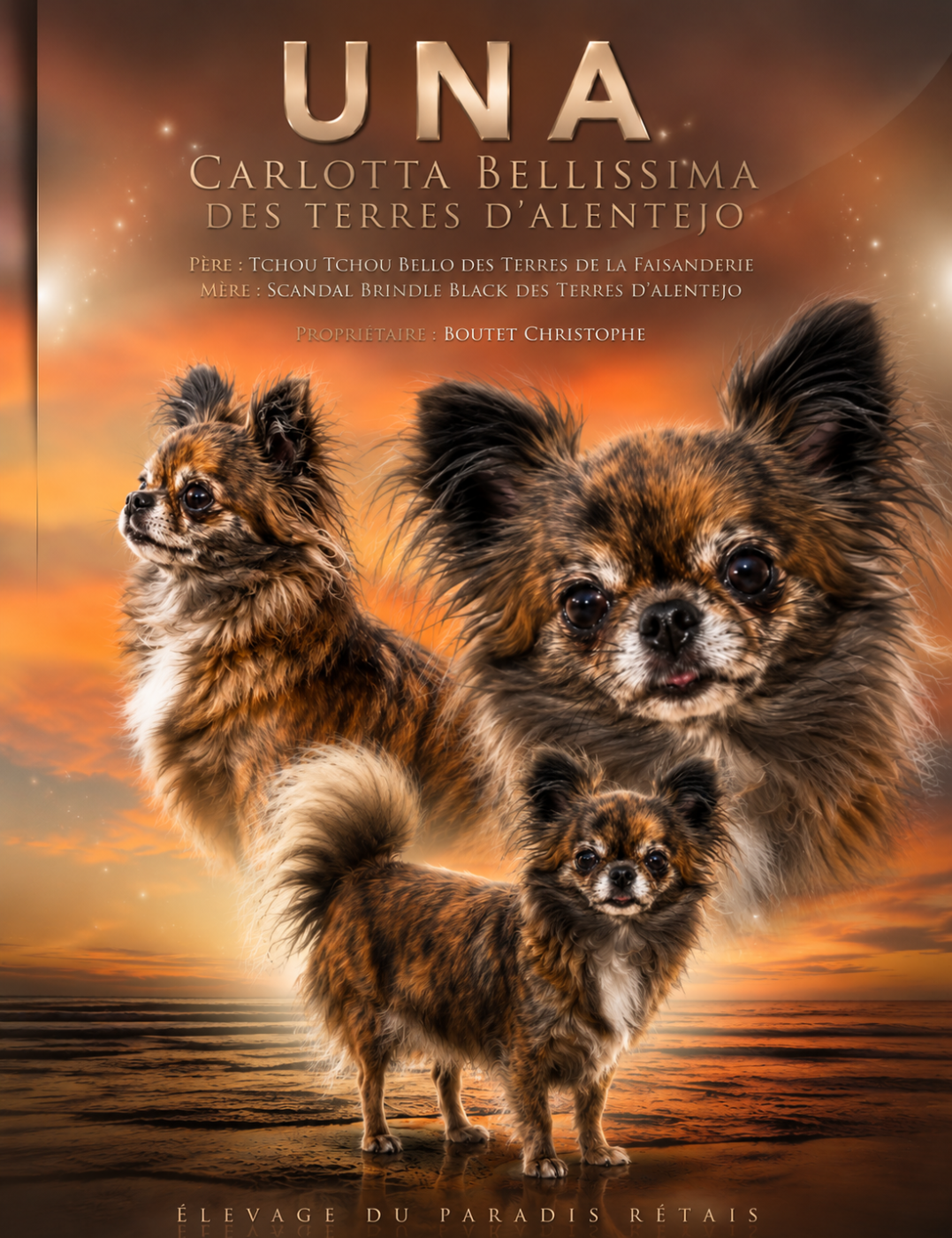 Una carlotta belissima des terres d'alentejo